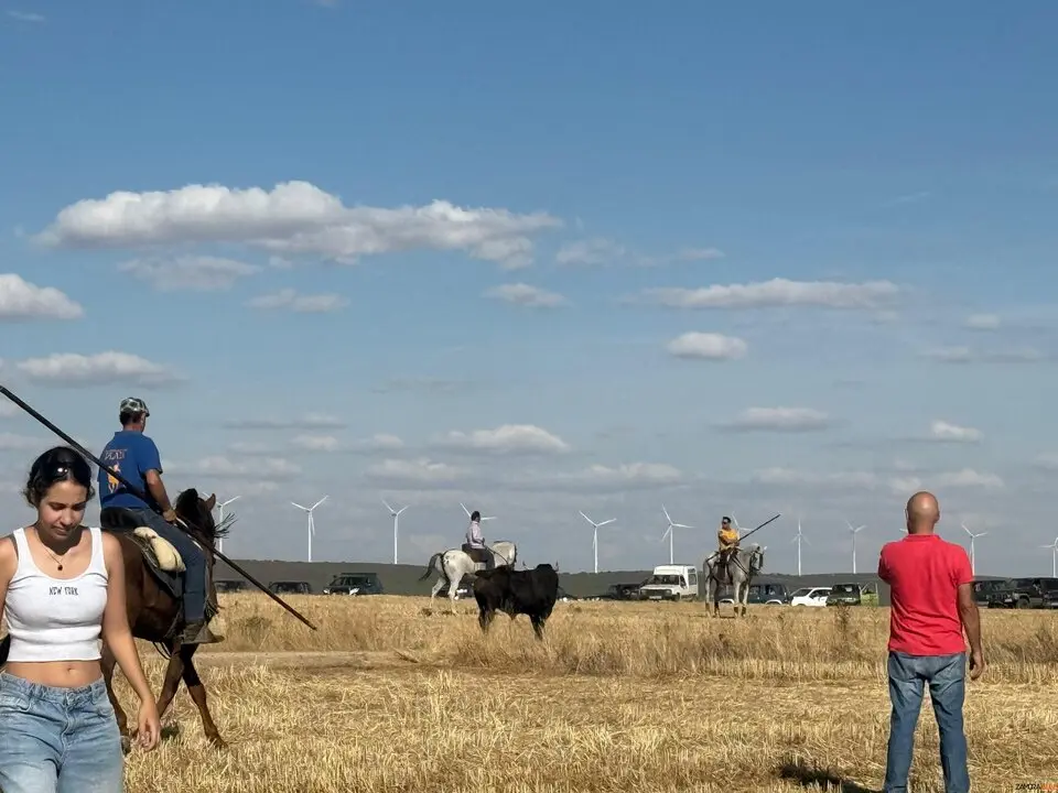 Espante de Carbajales