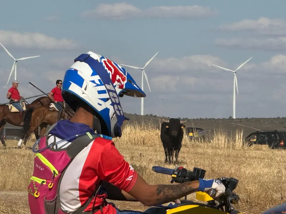 Espante de Carbajales