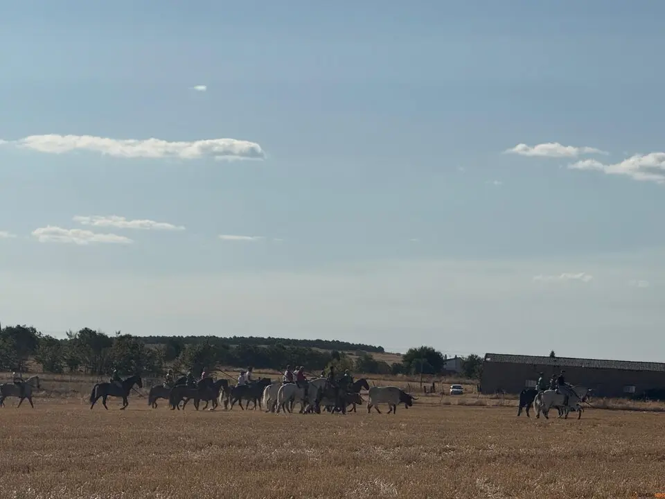 Espante de Carbajales