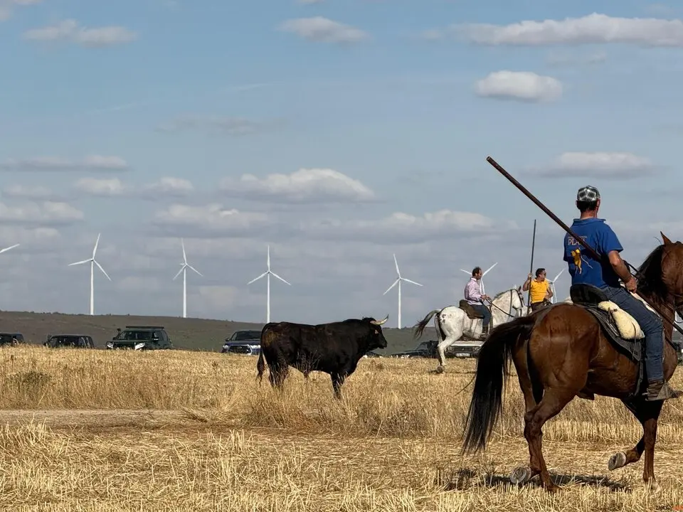 Espante de Carbajales