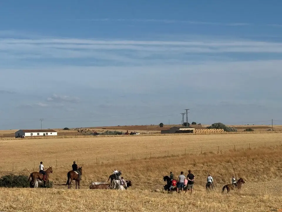 Espante de Carbajales
