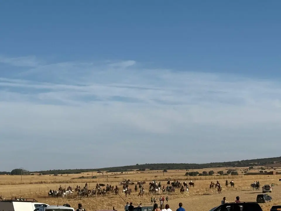 Espante de Carbajales