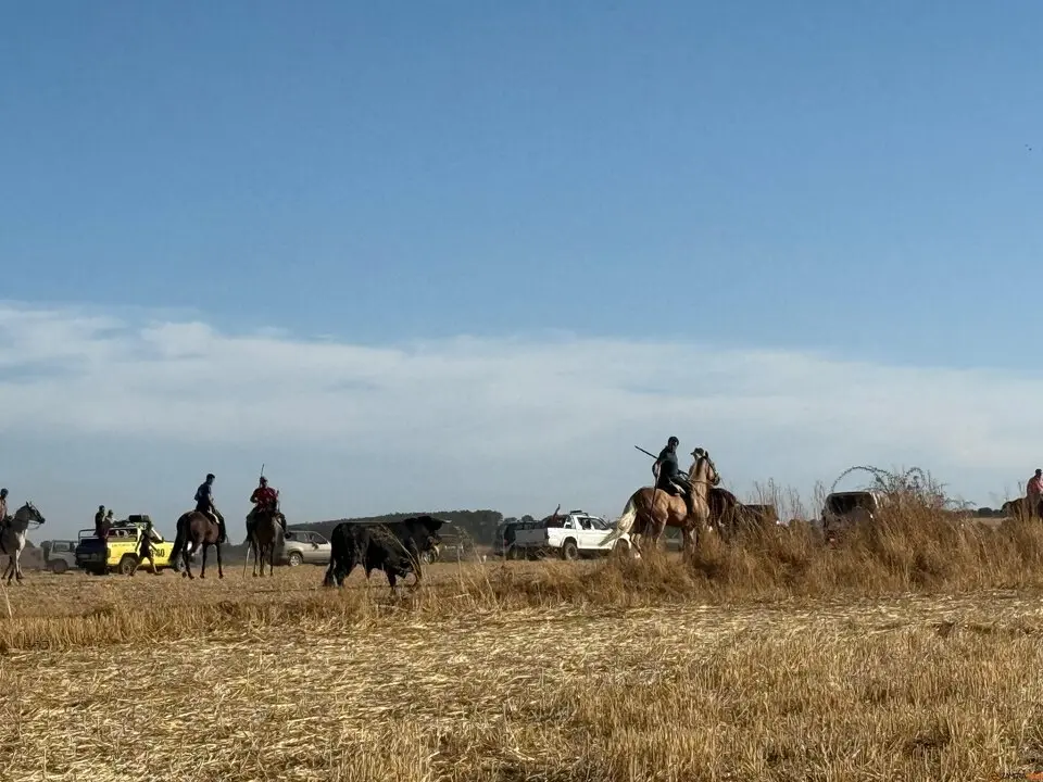 Espante de Carbajales