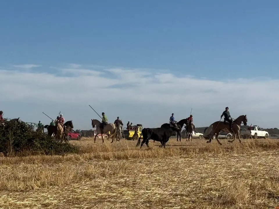 Espante de Carbajales