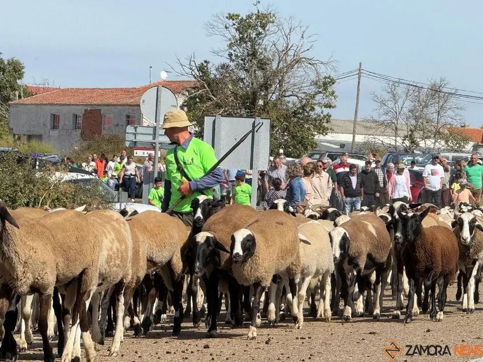 trashumancia san vitero_17