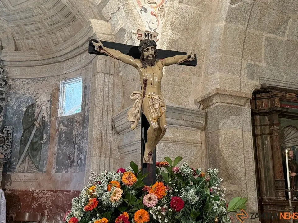 trashumancia san vitero_32