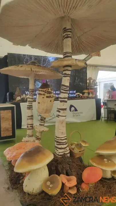 Feria Internacional del Ecoturismo Naturcyl Segovia 