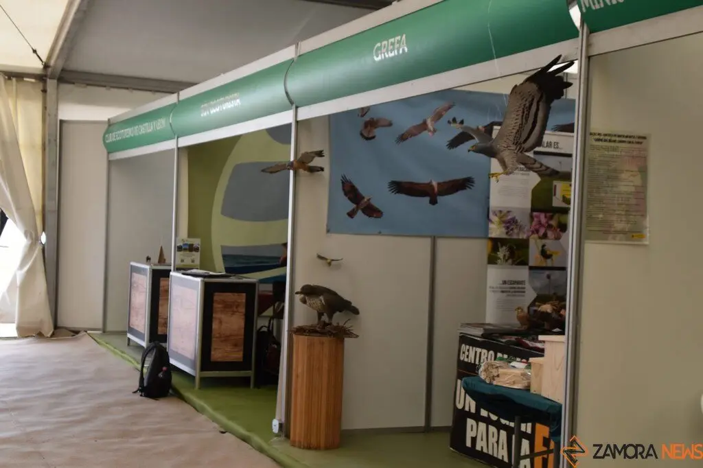 Feria Internacional del Ecoturismo Naturcyl Segovia _16