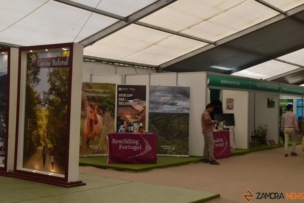 Feria Internacional del Ecoturismo Naturcyl Segovia _22