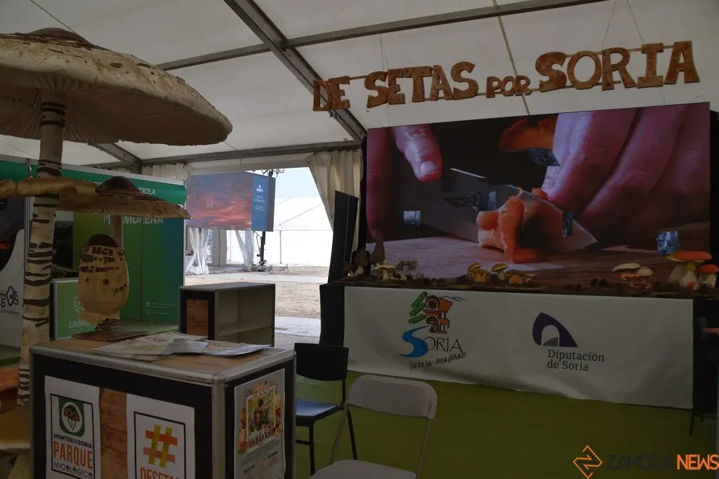 Feria Internacional del Ecoturismo Naturcyl Segovia _23