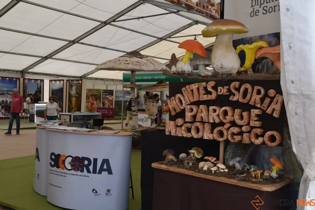 Feria Internacional del Ecoturismo Naturcyl Segovia _26