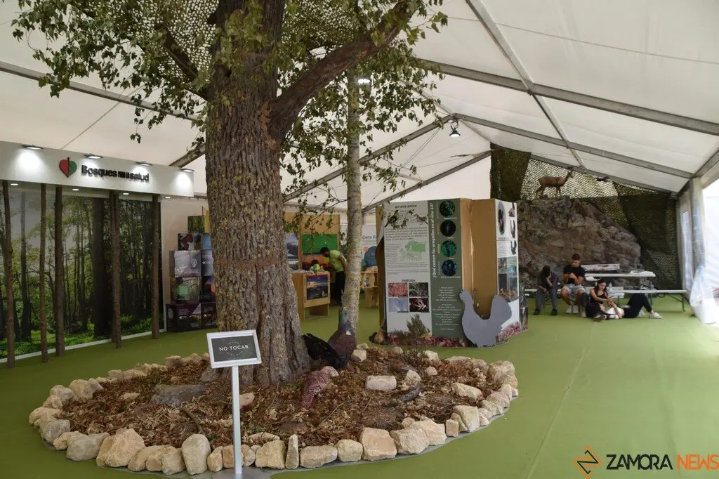 Feria Internacional del Ecoturismo Naturcyl Segovia _29