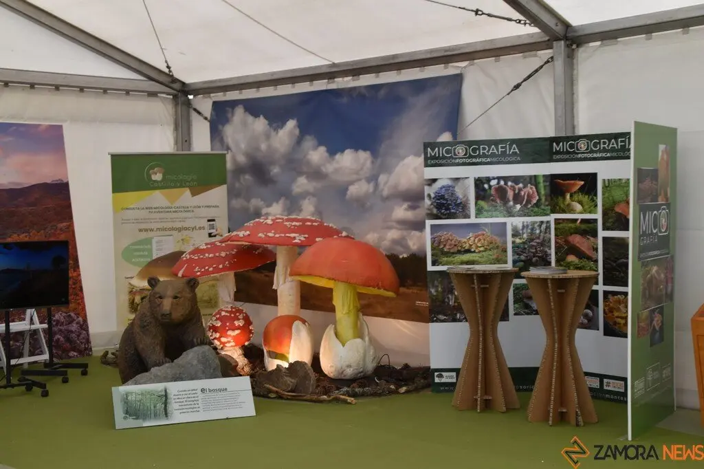 Feria Internacional del Ecoturismo Naturcyl Segovia _31