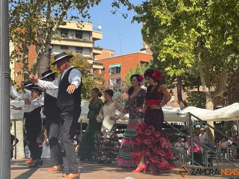 encajeras Zamora