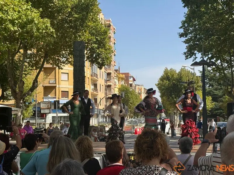 encajeras Zamora_5
