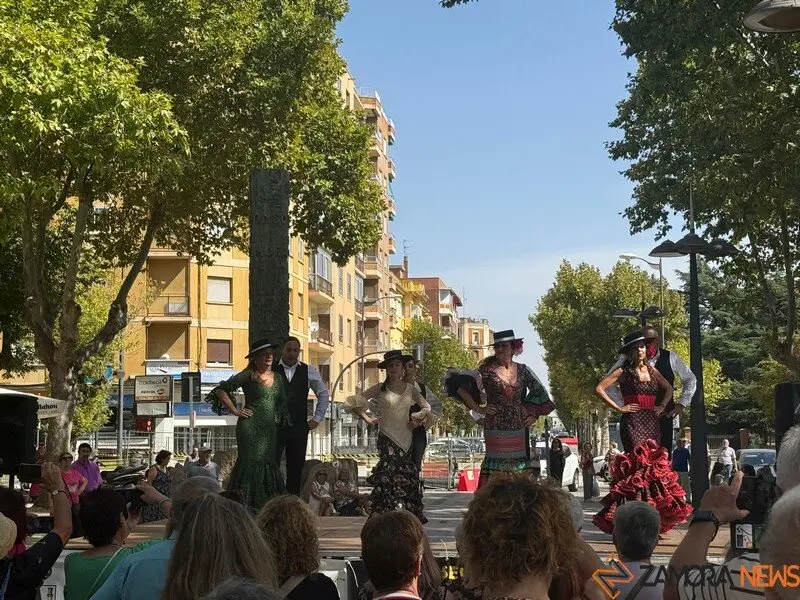 encajeras Zamora_16