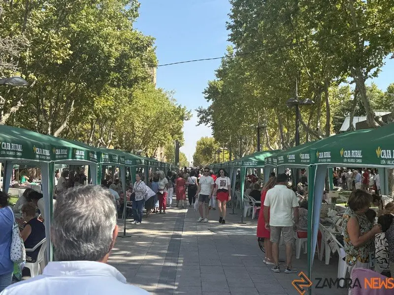 encajeras Zamora_25