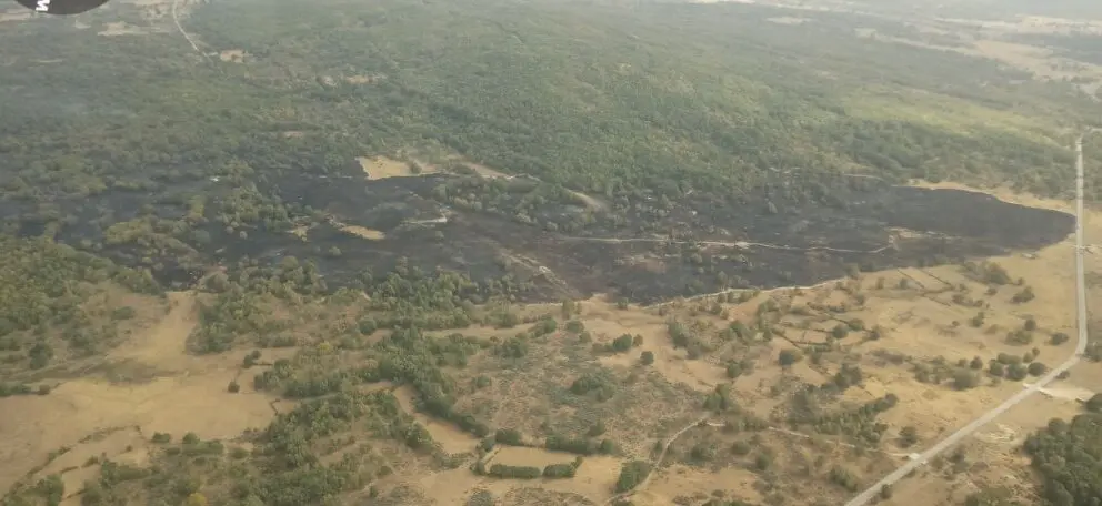 incendio Lanseros