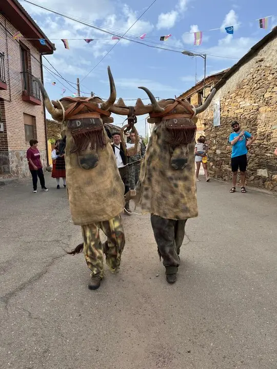 Mascaradas en Pobladura de Aliste (8)