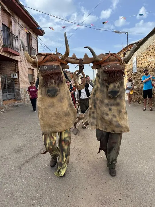 Mascaradas en Pobladura de Aliste (9)