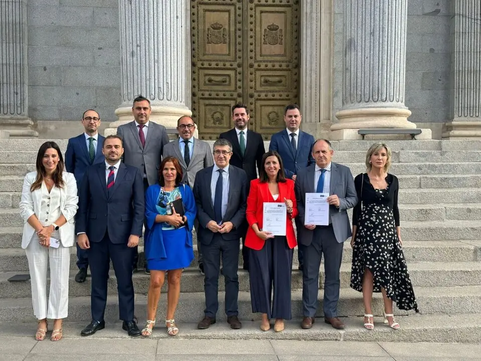 diputados del PSOE de Castilla y León