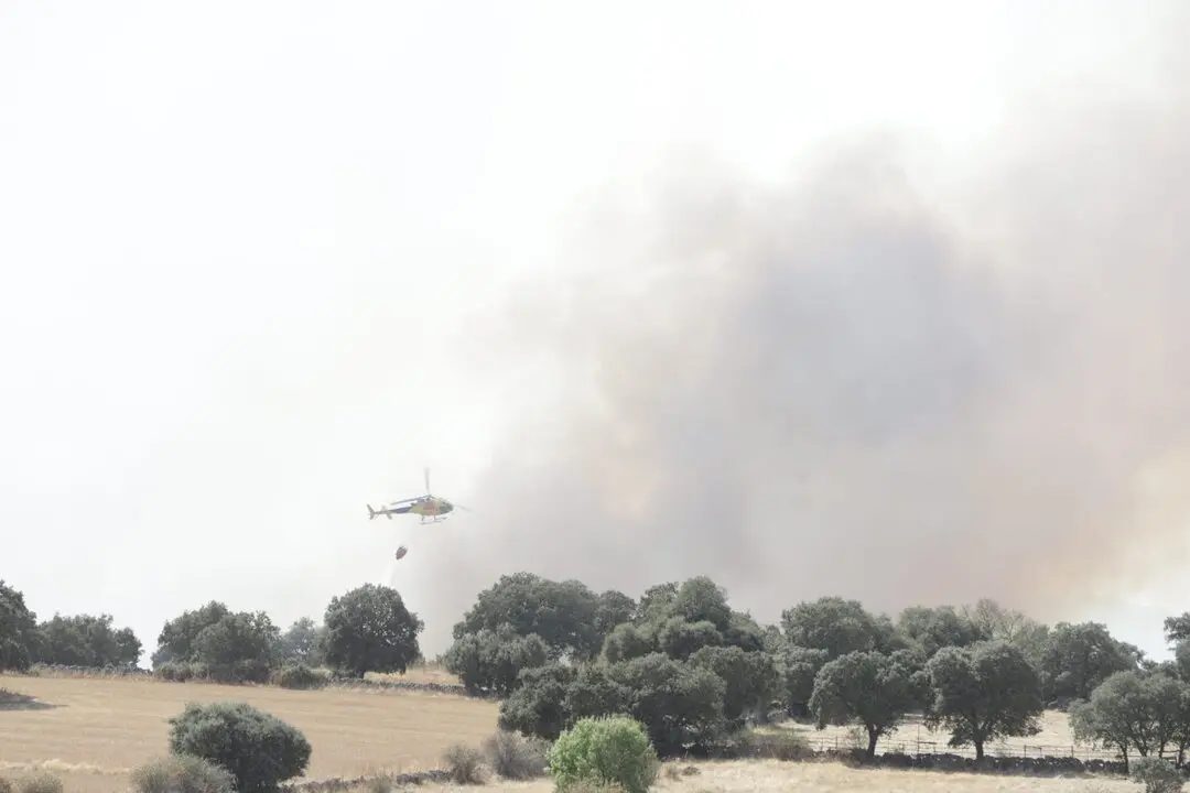 encinas fuego