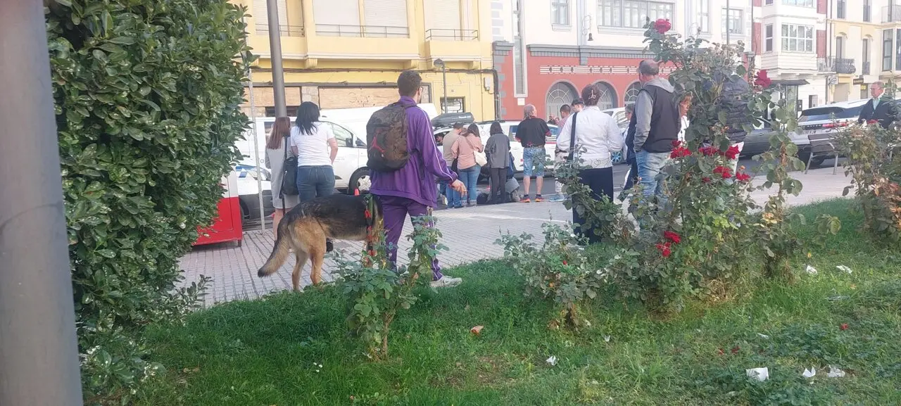 atropello en Avenida Portugal en Zamora