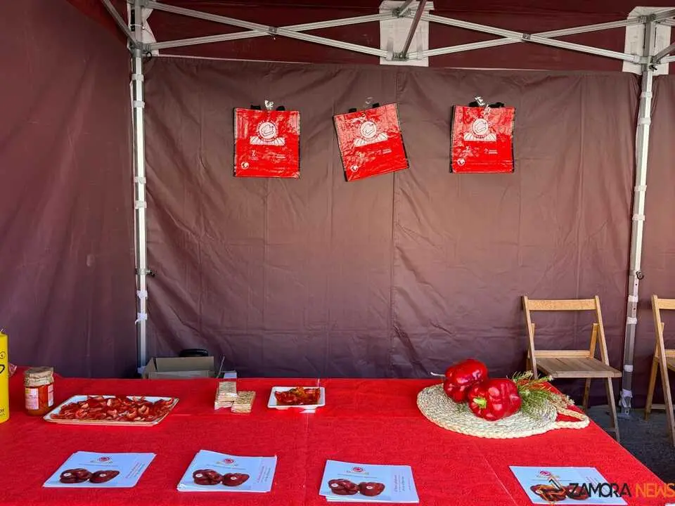 Feria del Pimiento Benavente _14