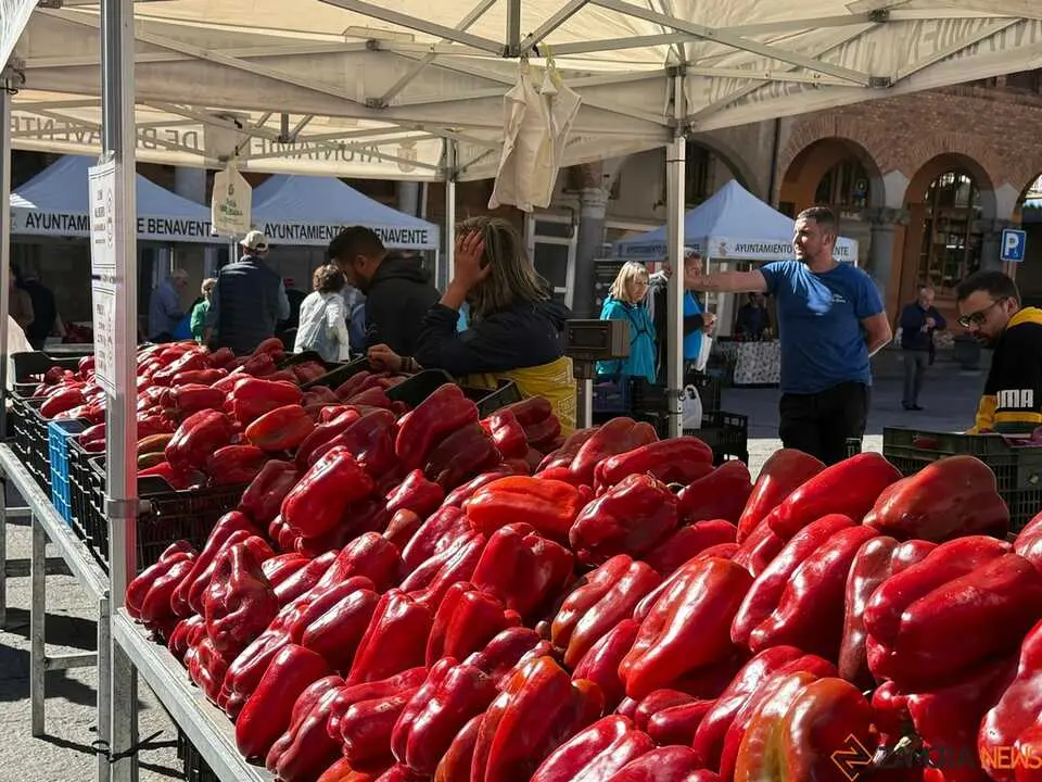 Feria del Pimiento Benavente _15