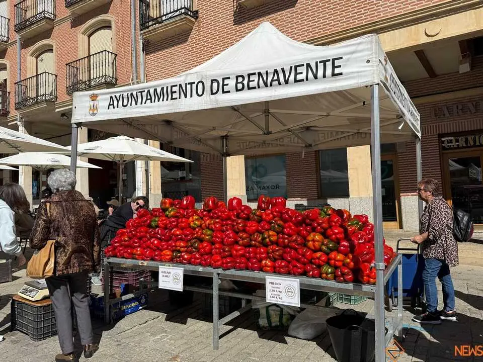 Feria del Pimiento Benavente _17