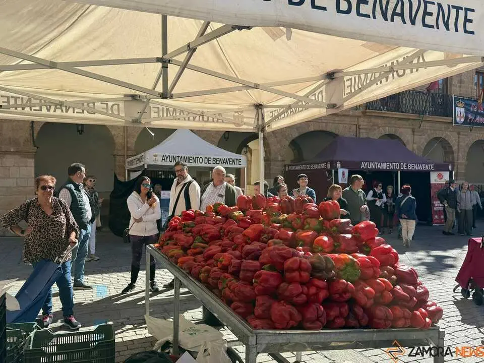Feria del Pimiento Benavente _18