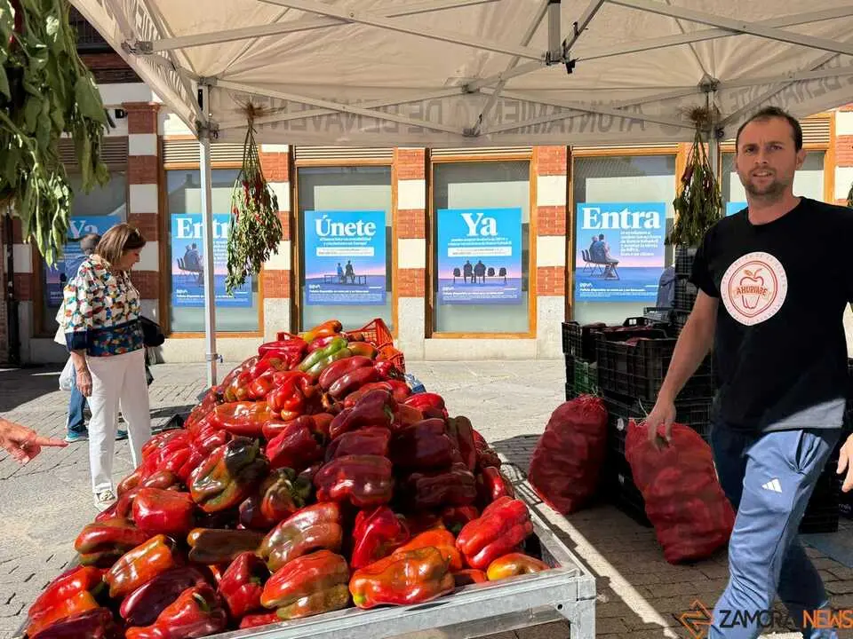 Feria del Pimiento Benavente _19