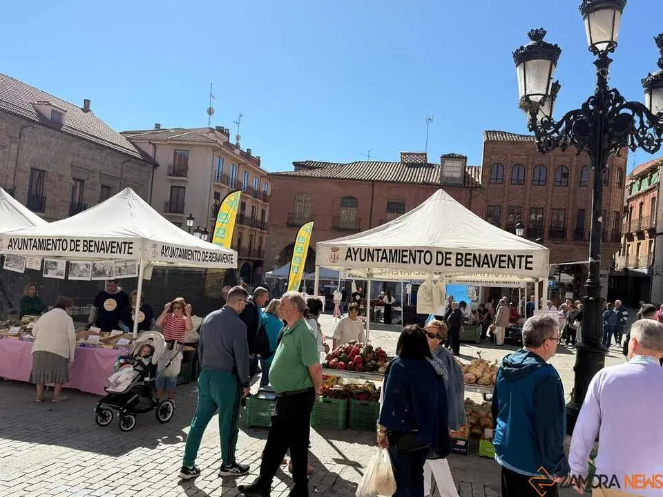 Feria del Pimiento Benavente _21