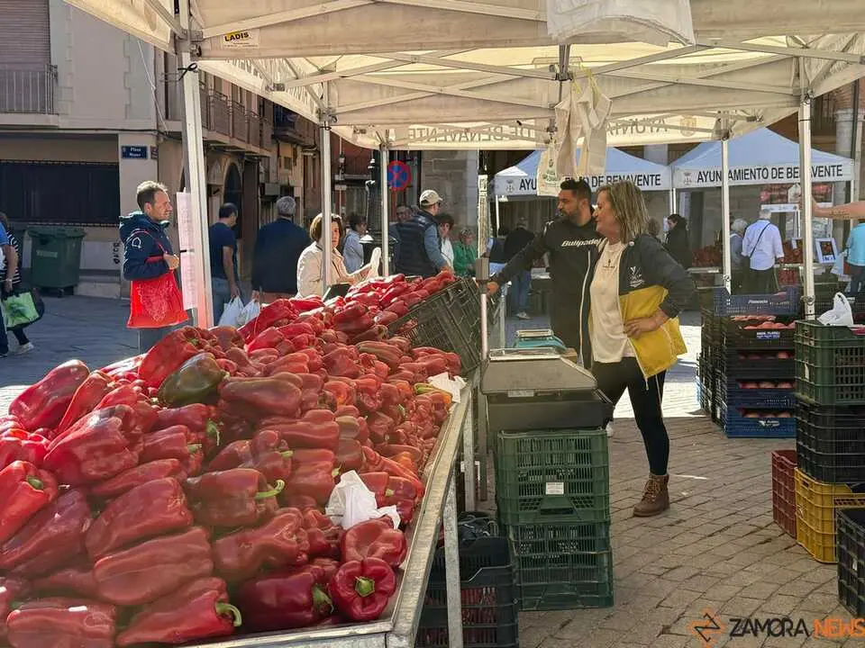 Feria del Pimiento Benavente _22