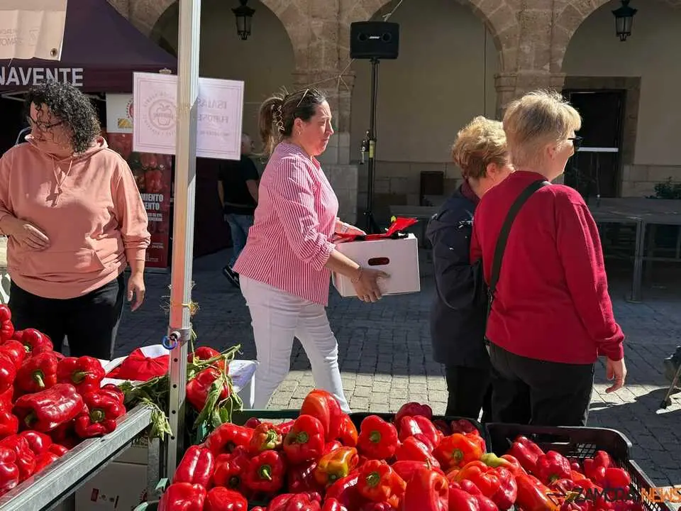 Feria del Pimiento Benavente _24