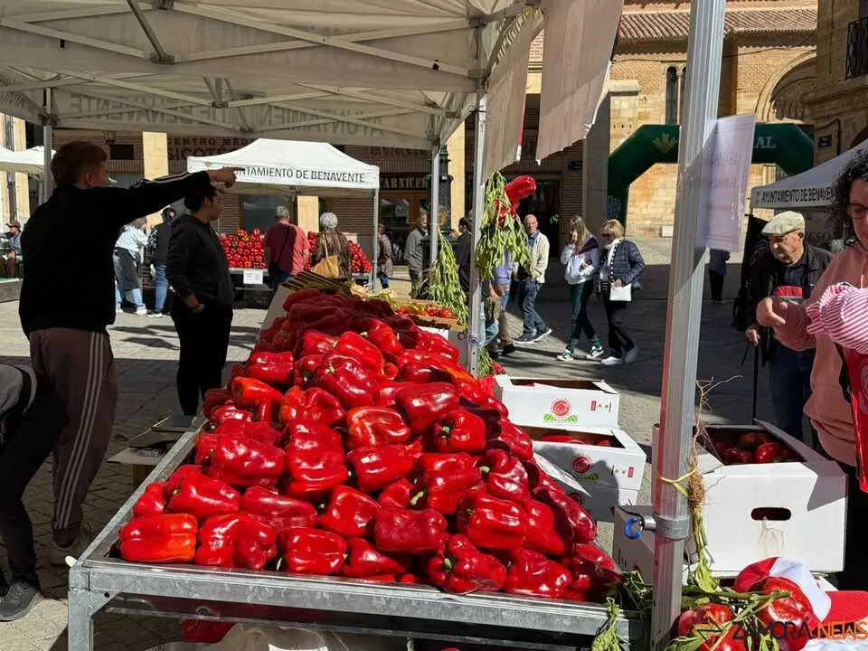 Feria del Pimiento Benavente _25