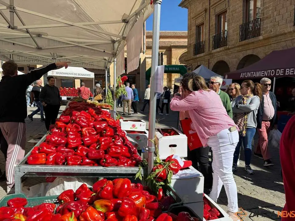 Feria del Pimiento Benavente _26