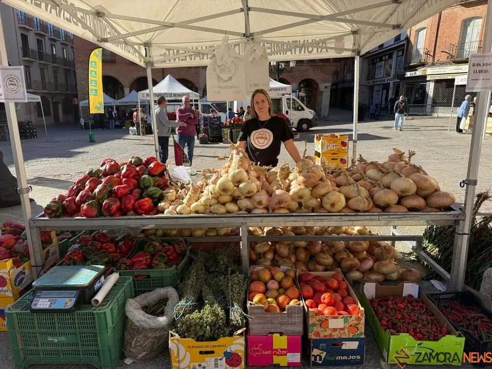 Feria del Pimiento Benavente _27