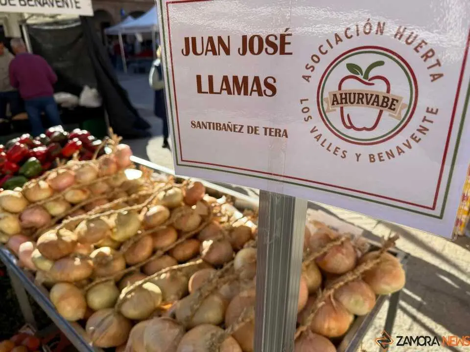 Feria del Pimiento Benavente _28