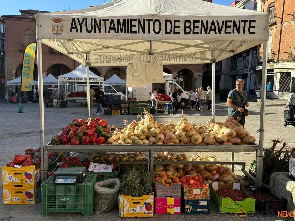Feria del Pimiento Benavente _31