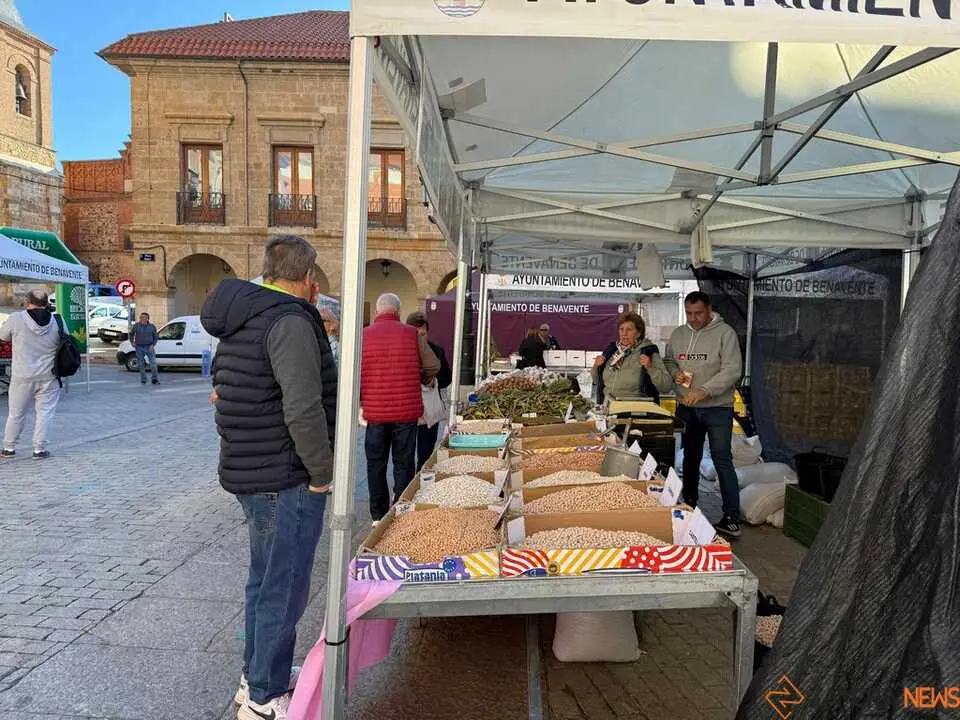 Feria del Pimiento Benavente _32