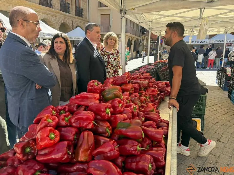 Feria del Pimiento Benavente_34