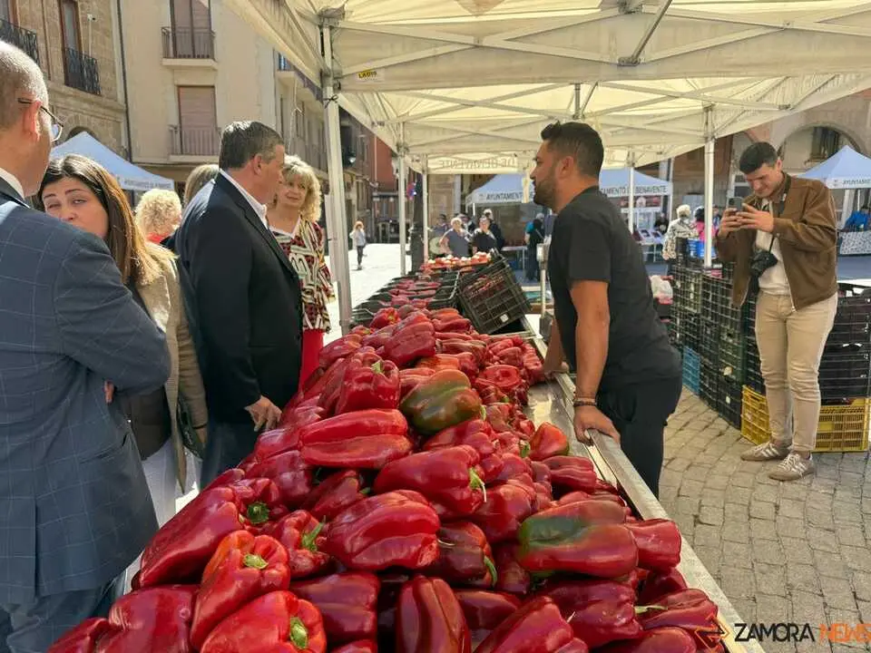Feria del Pimiento Benavente_35