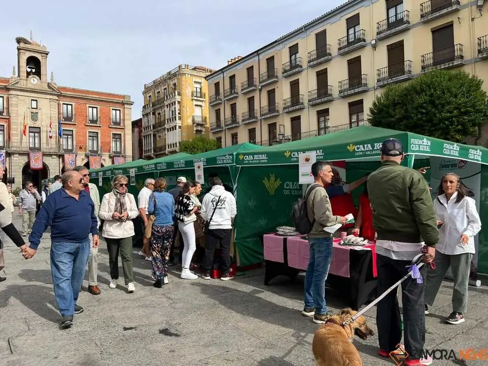 I Feria del Chorizo Zamorano _28