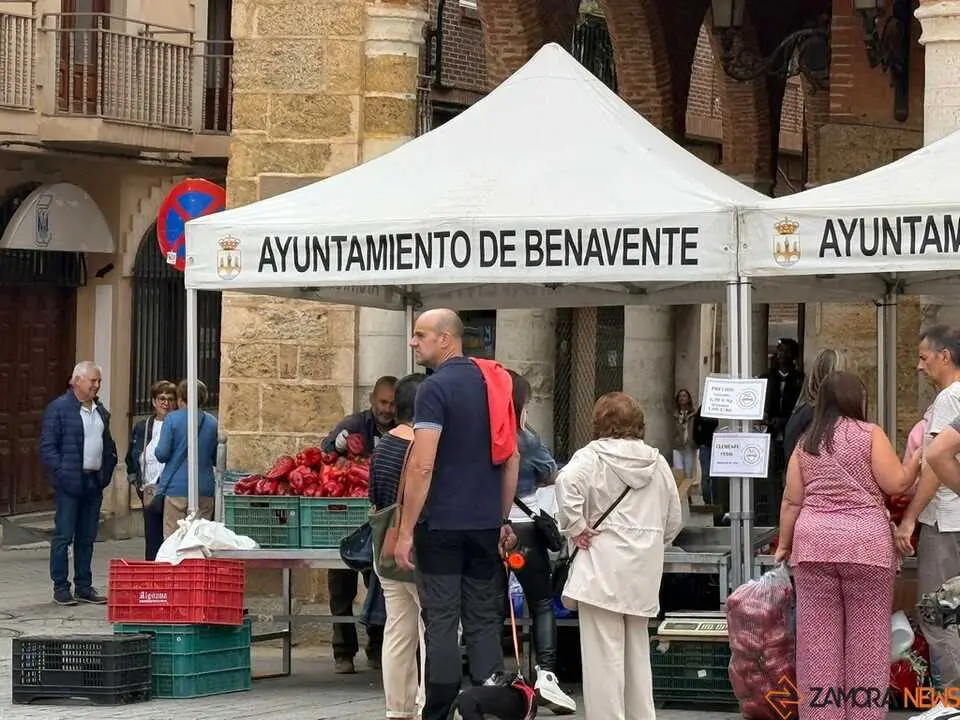 Feria del Pimiento en Benavente _3