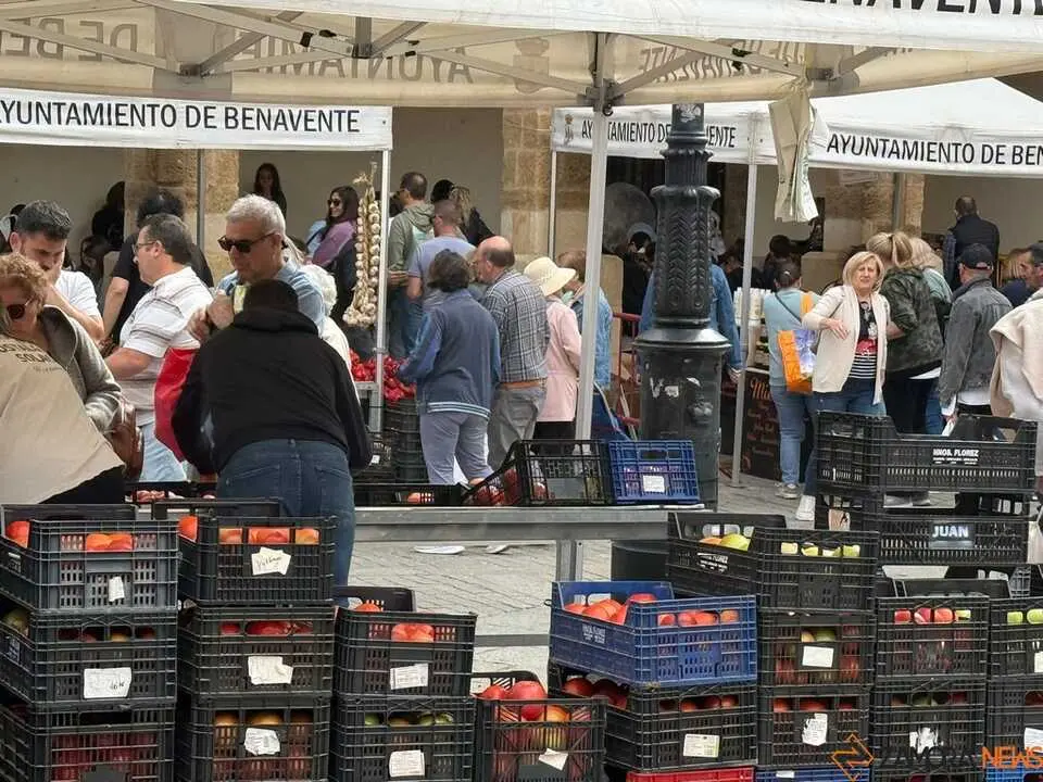 Feria del Pimiento en Benavente _4