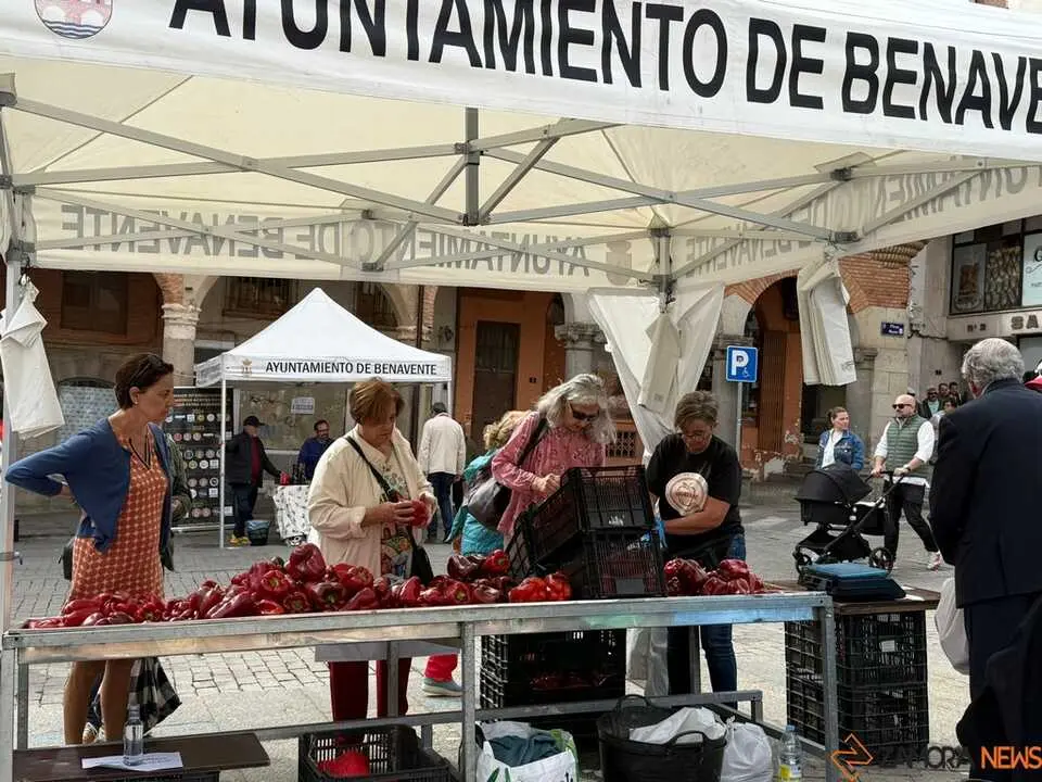 Feria del Pimiento en Benavente _5