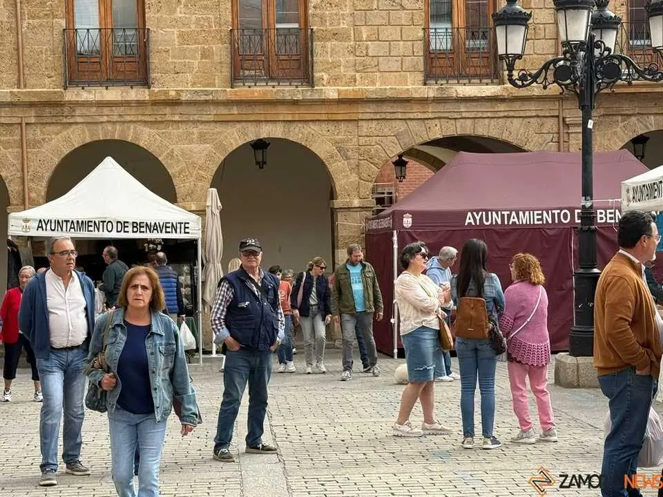 Feria del Pimiento en Benavente _8