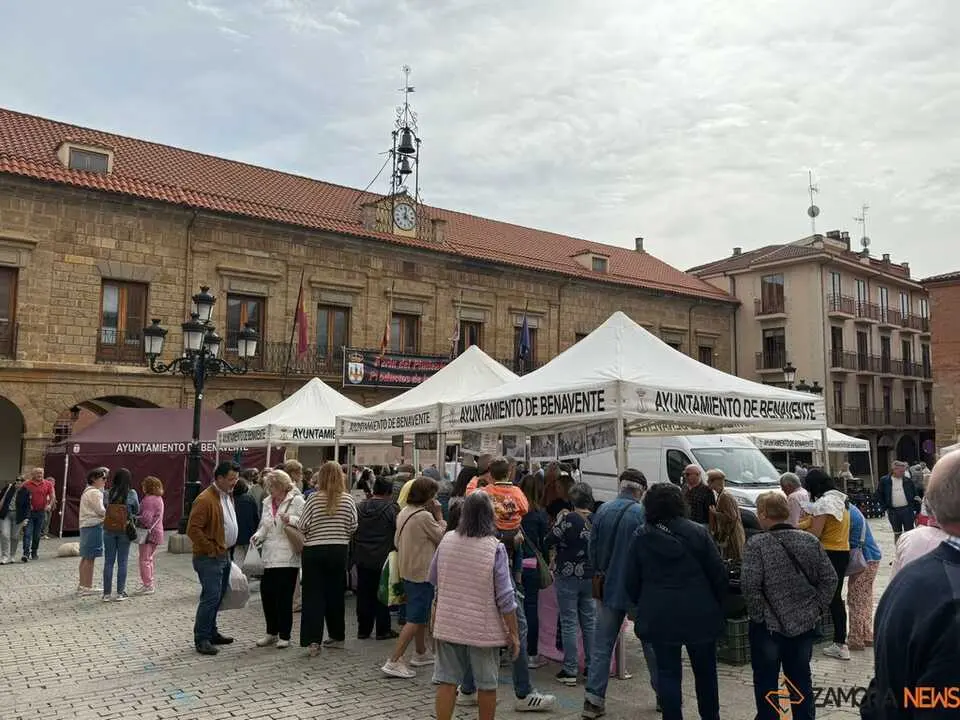 Feria del Pimiento en Benavente _9