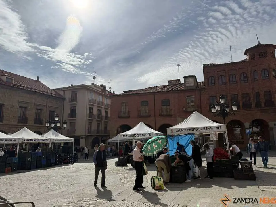Feria del Pimiento en Benavente _10